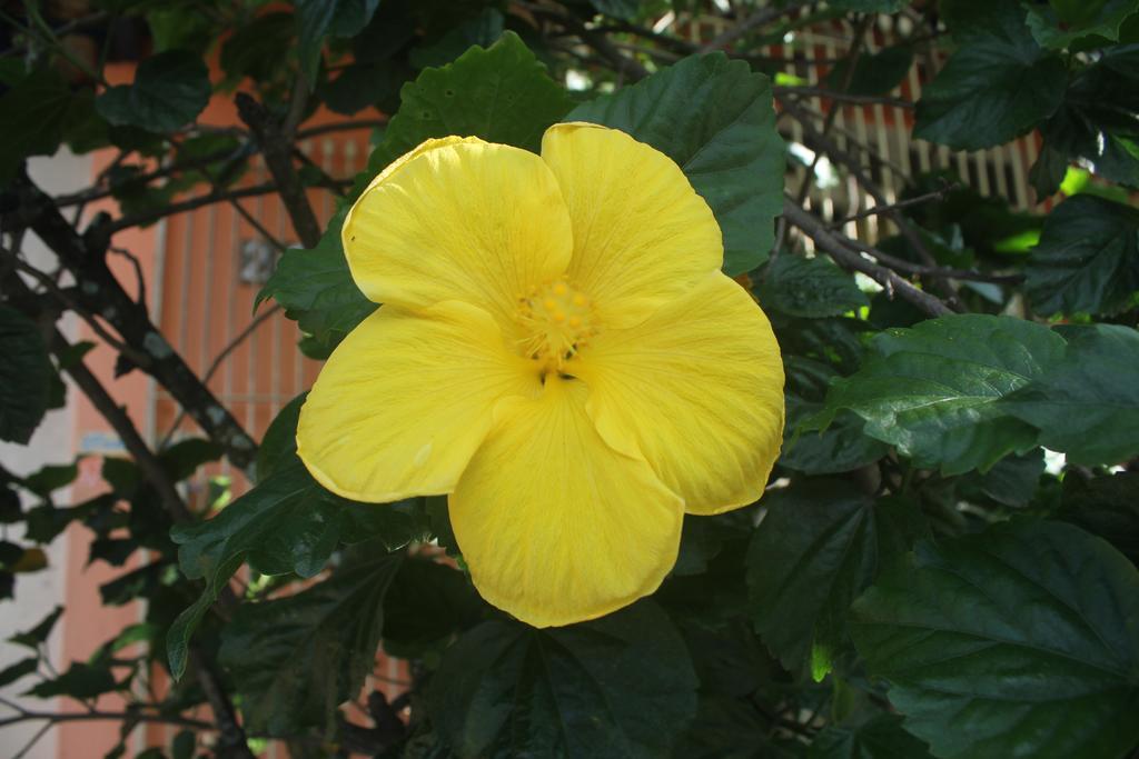 Bed and Breakfast Ubatuba Surf Spot Exterior foto